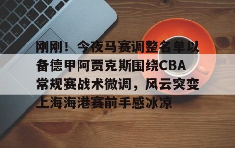 悦盈体育官网 -上海海港足球俱乐部主教练哈维尔离任