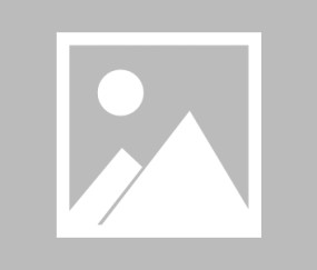 悦盈娱乐网站 -20162017赛季cba常规赛广东v深圳